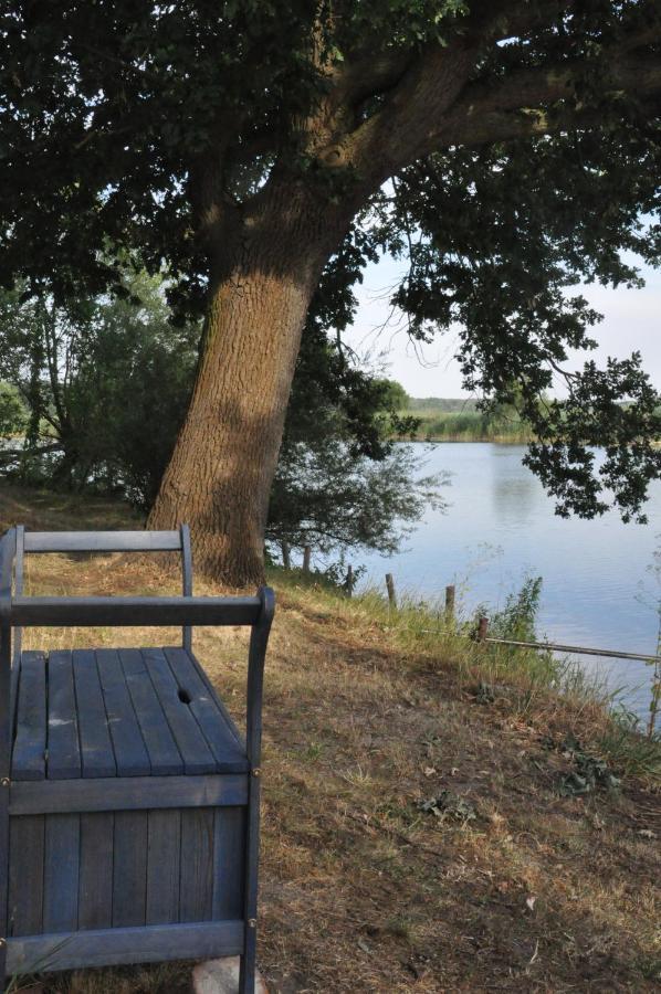 Pension "Seeblick" Am Stelzenhaus Dornburg  Exteriör bild