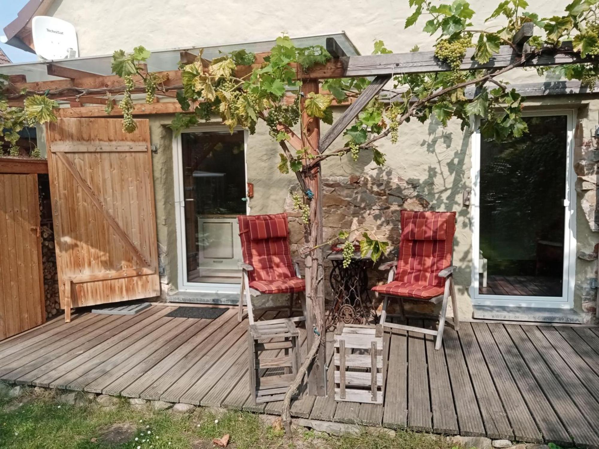 Pension "Seeblick" Am Stelzenhaus Dornburg  Exteriör bild